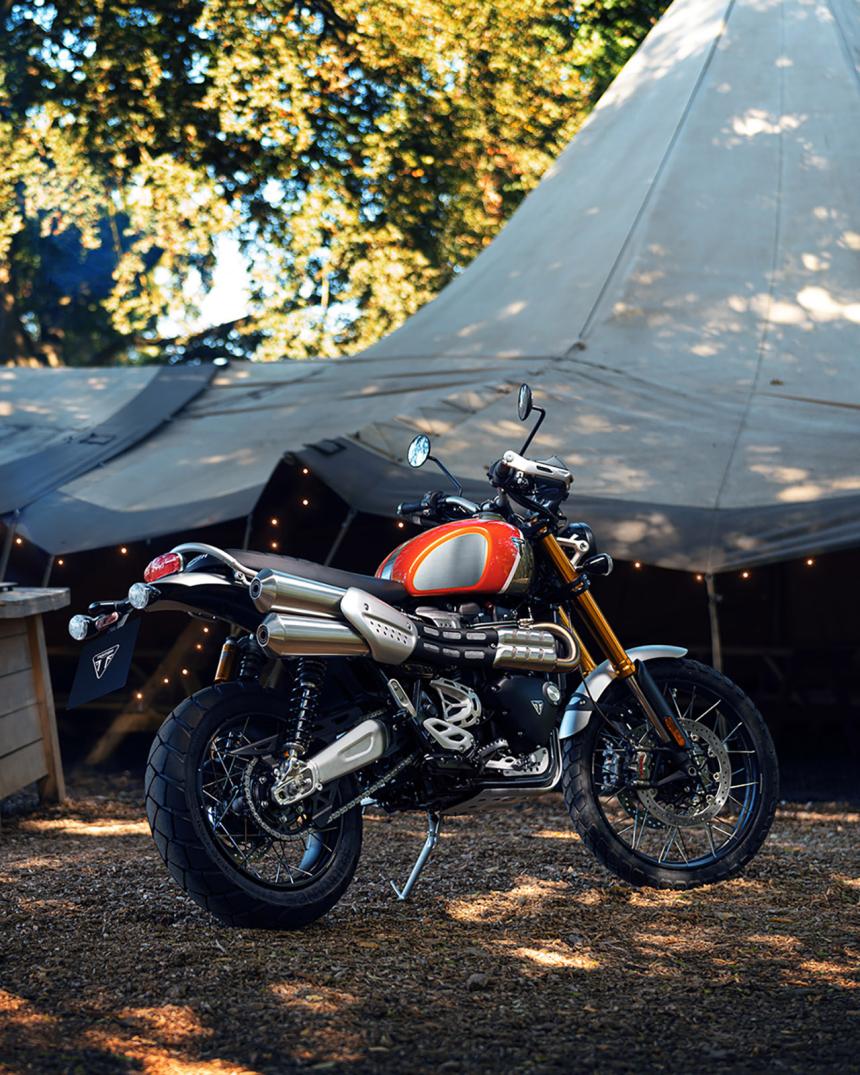 Triumph updates lineup with limited Gold Line Edition image