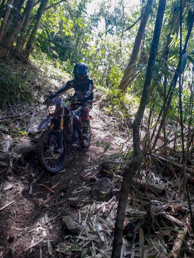 2019 Honda CRF 150L image