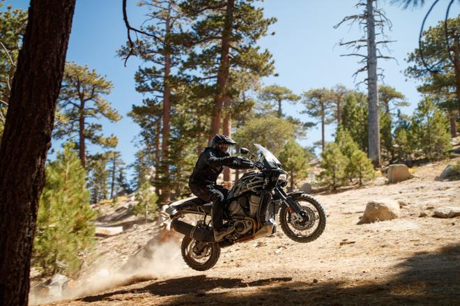 Harley-Davidson moves launch of Bronx, Pan America to 2021 image