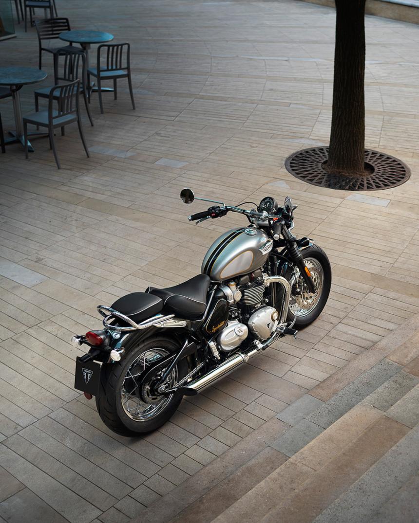 Triumph updates lineup with limited Gold Line Edition image