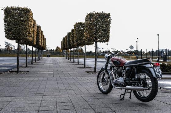 Elvis Presley and the Memphis Mafia Triumph Motorcycles Elvis Presley and the Memphis Mafia Triumph Motorcycles image