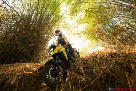 2024 Suzuki V-Strom 250 SX 2024 Suzuki V-Strom 250 SX image
