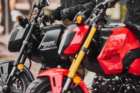 Honda updates the Grom for 2025 Honda updates the Grom for 2025 image