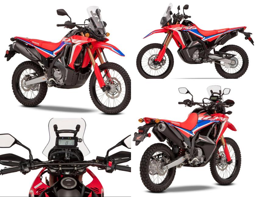 Honda rebores the CRF 250L/ Rally to 300cc image