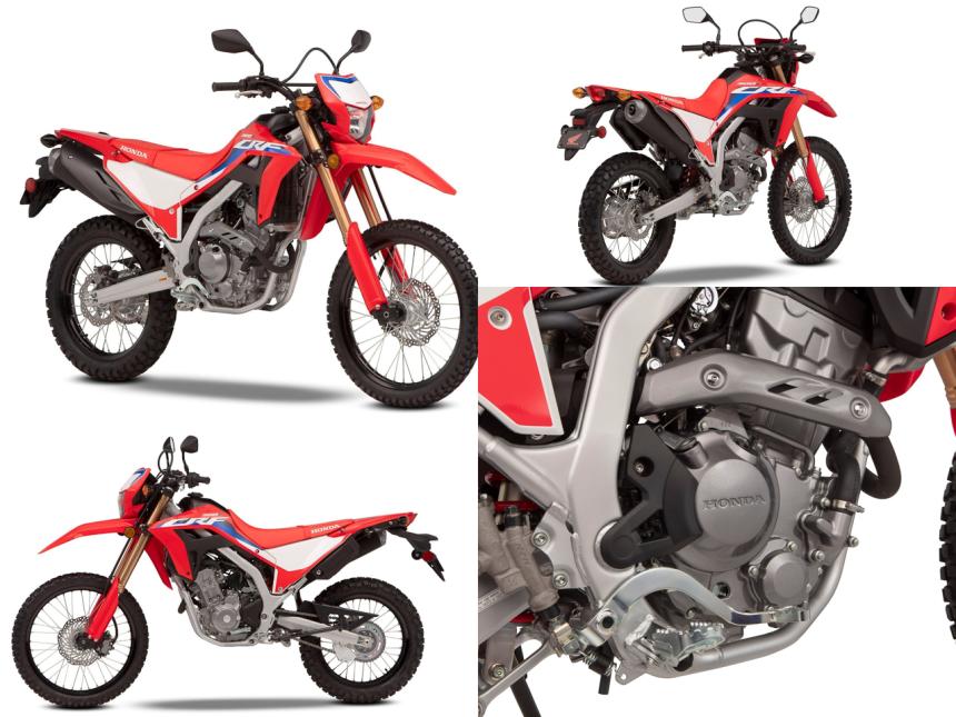 Honda rebores the CRF 250L/ Rally to 300cc image