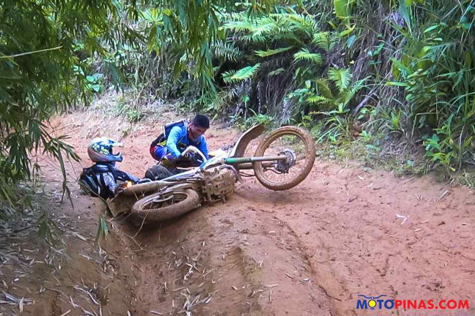 Trail riding tips for beginners Trail riding tips for beginners