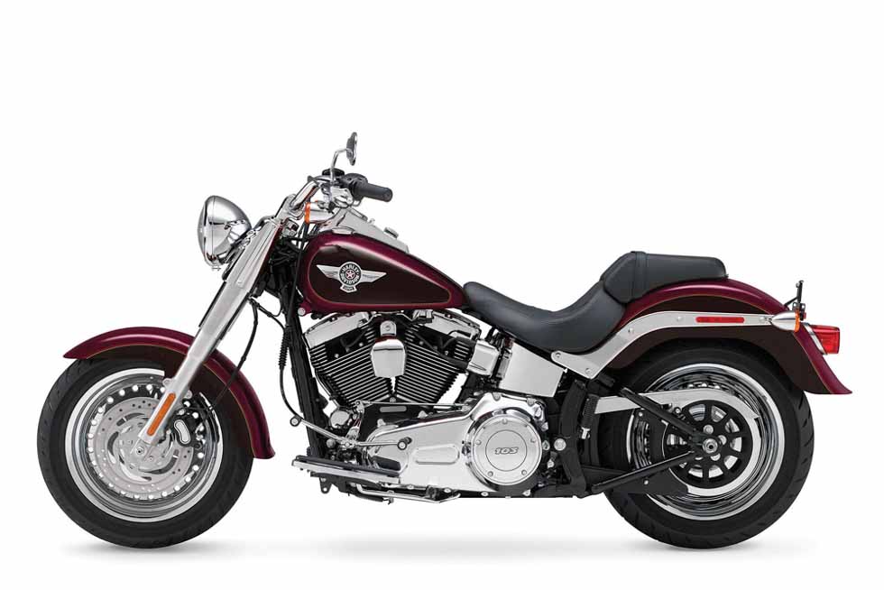Cruiser bike